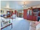 17 Manning Street, Campbelltown NSW 2560