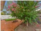 17 Valley Road, Campbelltown NSW 2560