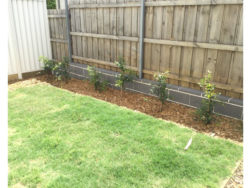 3/48-52 Warby Street, Campbelltown NSW 2560