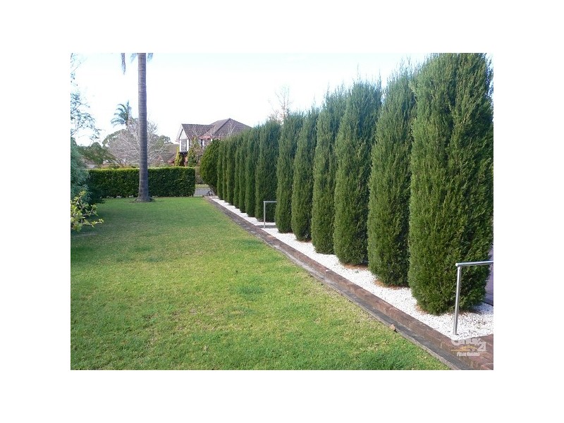 Castle Hill NSW 2154