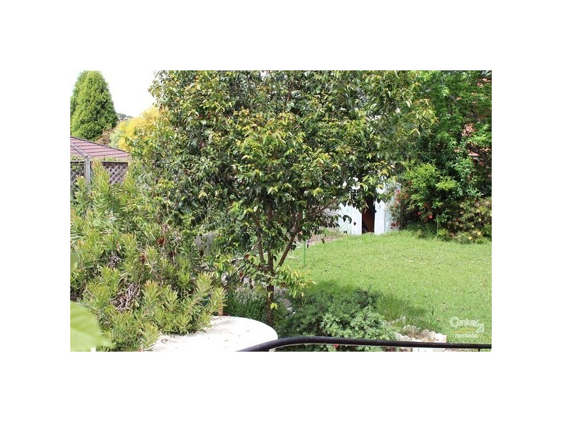 173 Old Northern Road, Castle Hill NSW 2154