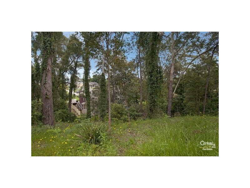 66 Francis Street, Castle Hill NSW 2154