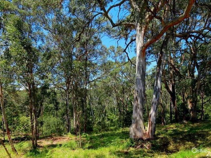 16 Lomandra Circuit, Castle Hill NSW 2154