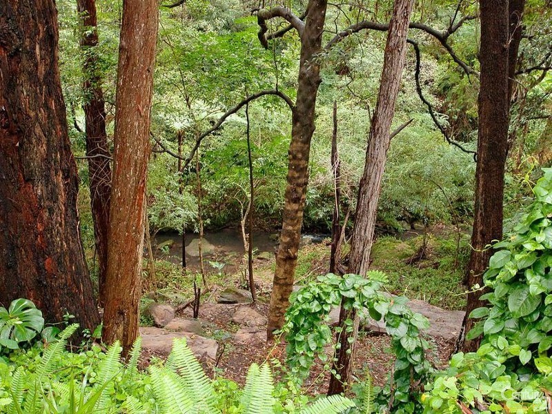 12 Greenvale Place, Castle Hill NSW 2154