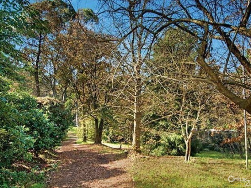 Castle Hill NSW 2154