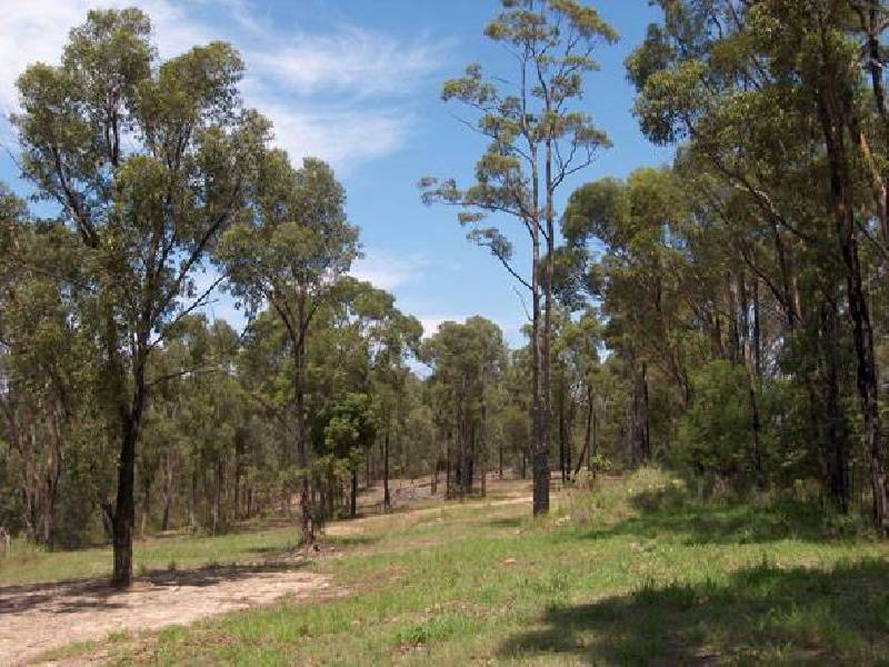 2981 Old Northern Road, Glenorie NSW 2157