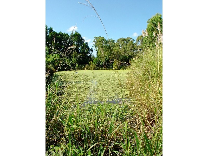 Middle Dural NSW 2158