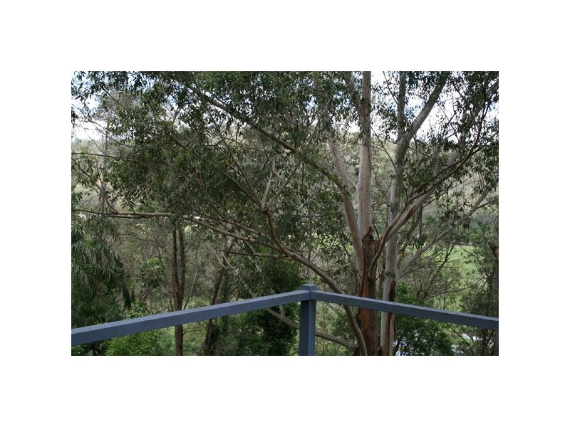 Lower Macdonald NSW 2775