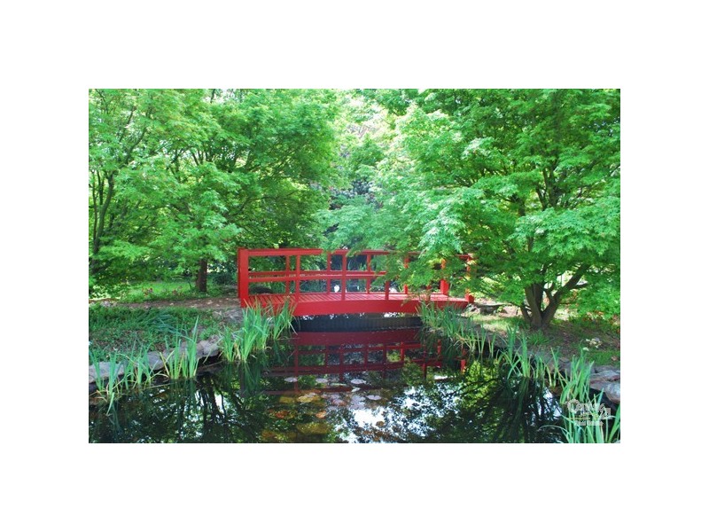 Middle Dural NSW 2158