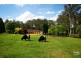 Glenhaven NSW 2156