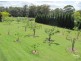 Dural NSW 2158