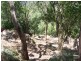 4 Webbs Creek Road, Wisemans Ferry NSW 2775