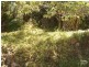 4 Webbs Creek Road, Wisemans Ferry NSW 2775