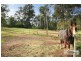Glenhaven NSW 2156