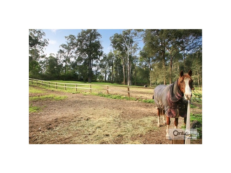 Glenhaven NSW 2156