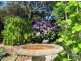 Kenthurst NSW 2156