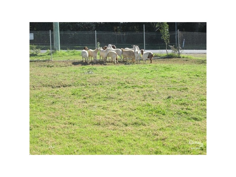 Middle Dural NSW 2158