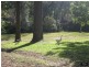6 Cattai Ridge Road, Glenorie NSW 2157