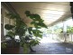 Mount Riverview NSW 2774