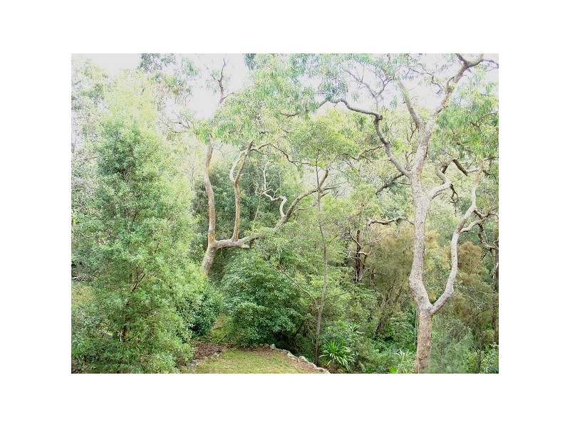 24 Yoogali Terrace, Blaxland NSW 2774