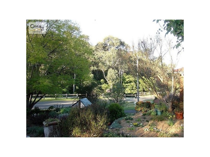 Blaxland NSW 2774