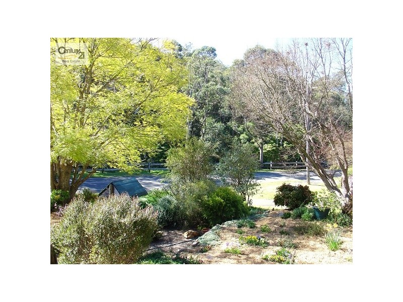 Blaxland NSW 2774