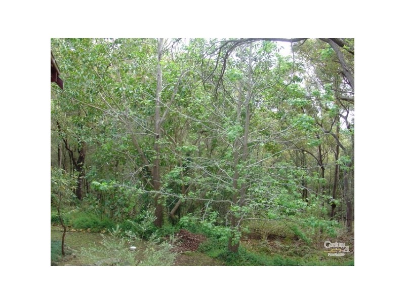 32 Sunland Crescent, Mount Riverview NSW 2774