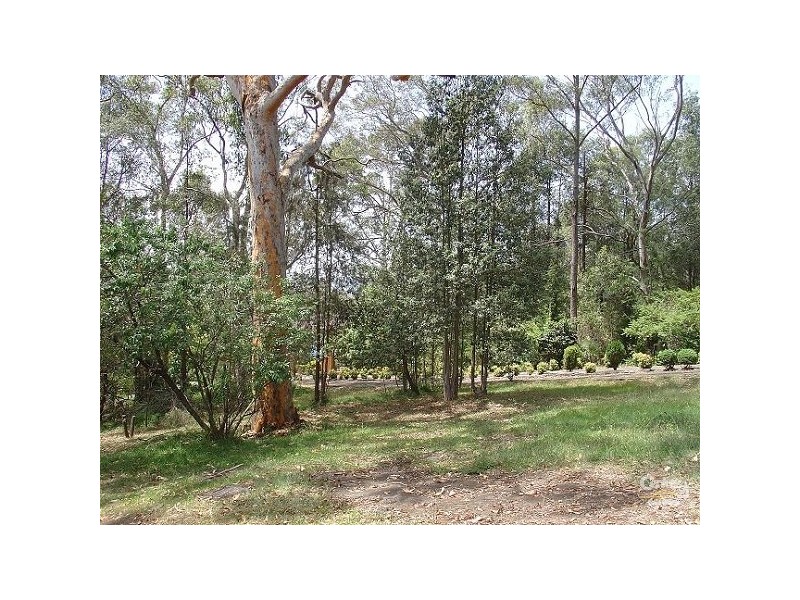 Mount Riverview NSW 2774