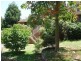 Glenbrook NSW 2773