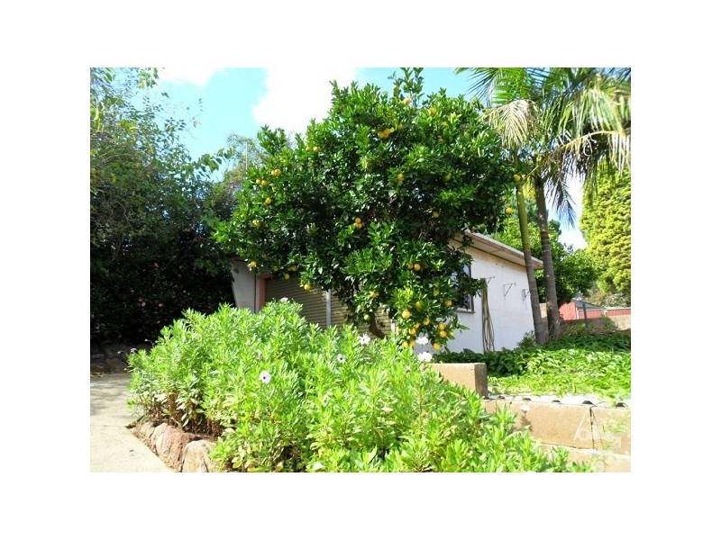 22 Powell Street, Blaxland NSW 2774