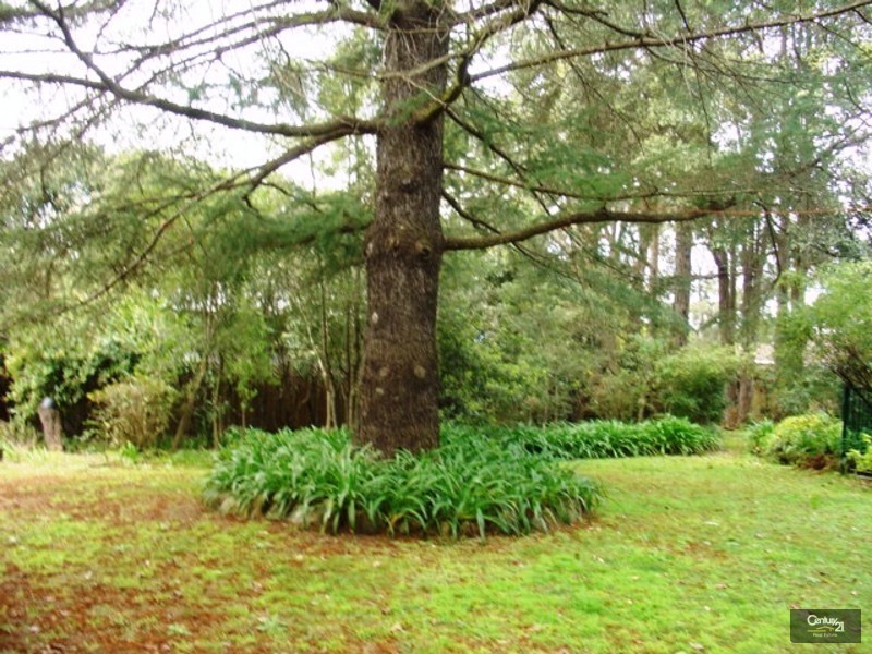 Mount Riverview NSW 2774