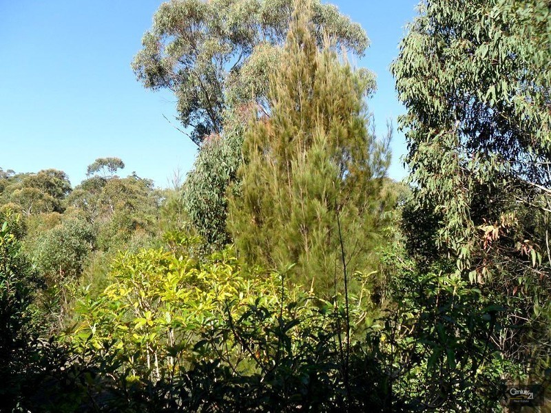 32 Wattlecliffe Drive, Blaxland NSW 2774