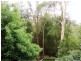28 Nichols Parade, Mount Riverview NSW 2774