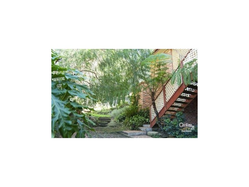 Mount Riverview NSW 2774