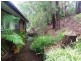 Blaxland NSW 2774