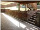 Blaxland NSW 2774