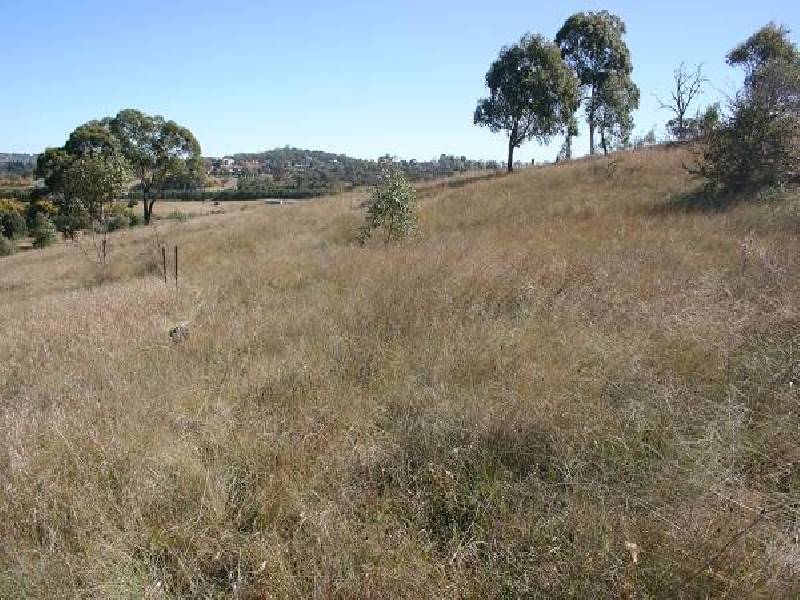 Aberfoyle NSW 2350
