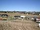 Aberfoyle NSW 2350