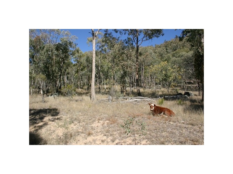 Kingstown NSW 2358