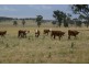 Dangarsleigh NSW 2350