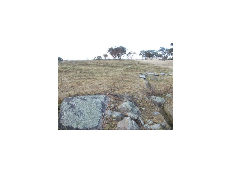 8 Brereton Street, Hillgrove NSW 2350