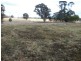 Hillgrove NSW 2350