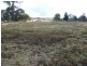 Hillgrove NSW 2350