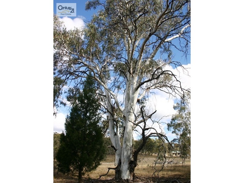 1410 Retreat Road, Uralla NSW 2358