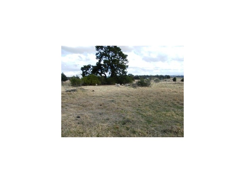 35 Hargrave Street, Hillgrove NSW 2650
