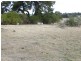 35 Hargrave Street, Hillgrove NSW 2650