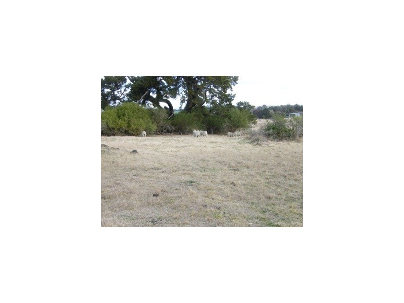 35 Hargrave Street, Hillgrove NSW 2650