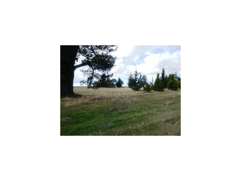 35 Hargrave Street, Hillgrove NSW 2650