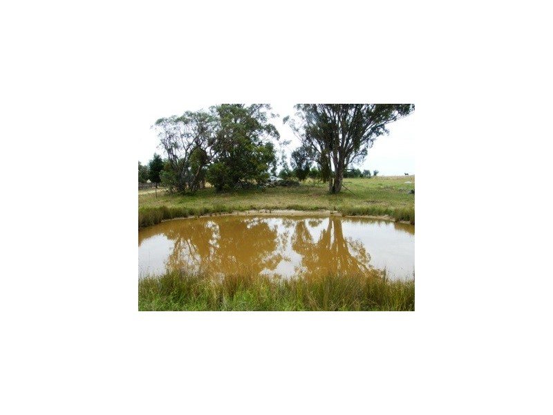 Lot 11 Brereton Street, Hillgrove NSW 2350