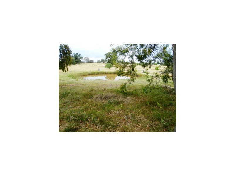 Lot 11 Brereton Street, Hillgrove NSW 2350